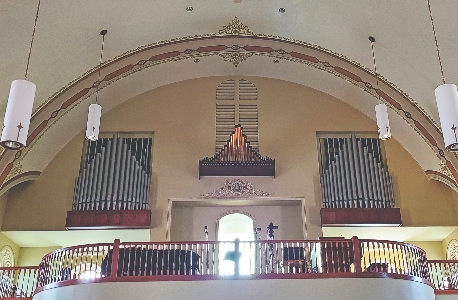 Levsen organ