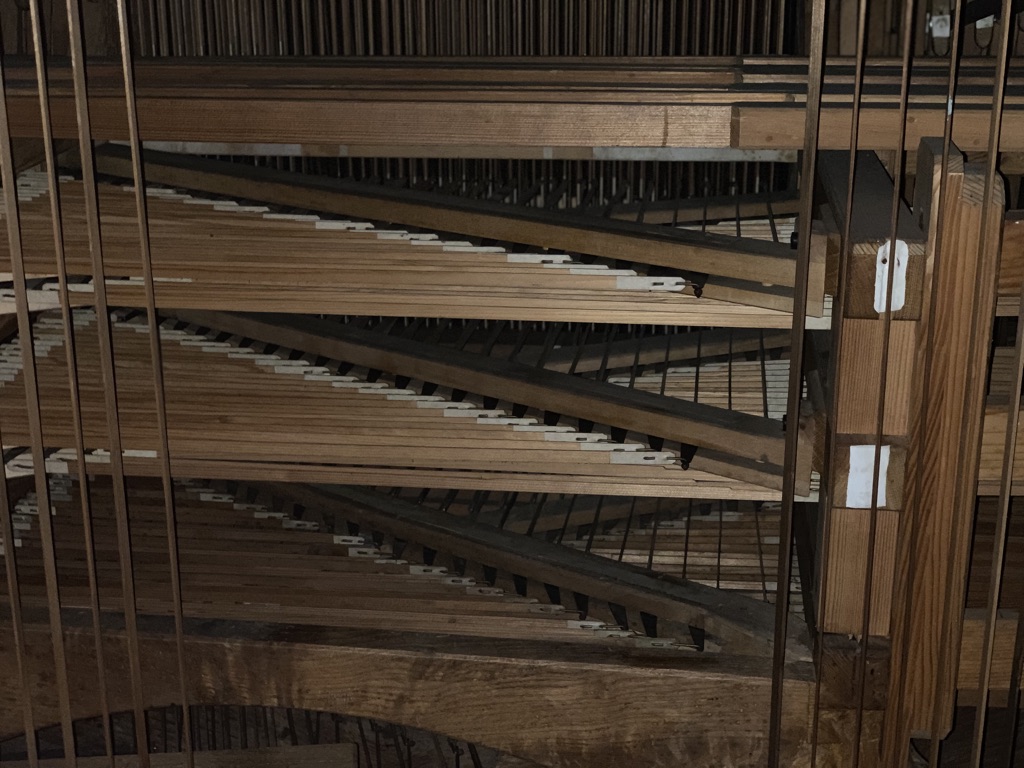 Organ interior