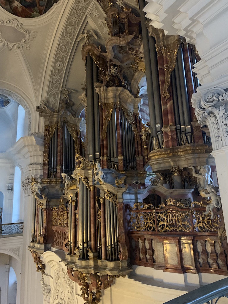 Gabler organ