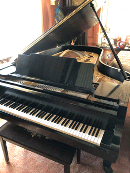 Kawai KG-6C 7'4" grand piano