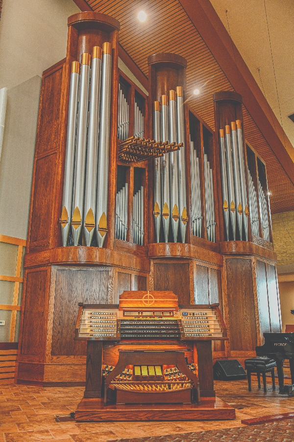 Peragallo organ (photo credit: Michael Harker)