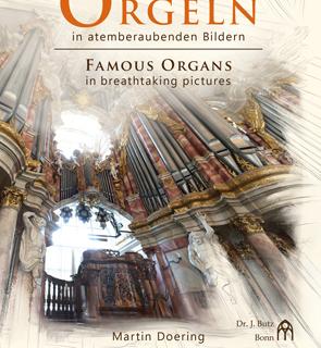 Famous Organs in Breathtaking Images